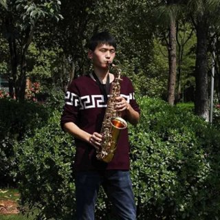 Saxofón Alto Eb Dorado + Accesorios