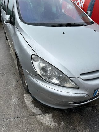 Despiece Peugeot 307 SW