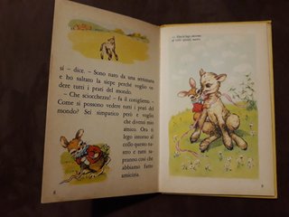 Libro antico RICCIOLINO del 1960