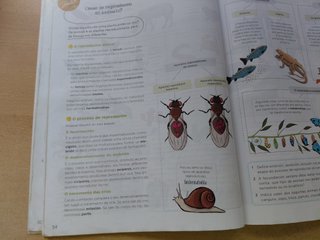 Ciencias da Natureza Quinto de Primaria Anaya