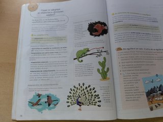 Ciencias da Natureza Quinto de Primaria Anaya