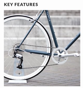 Bicicleta Temple Classic Lightweight
