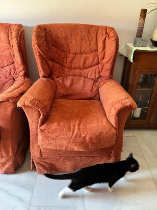 2 Sillones Terracota Tapizados