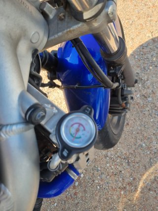 Suzuki SV650 MK1 Azul/Plata