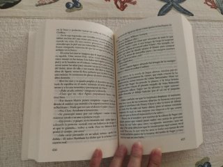 Pétalo carmesí, flor blanca