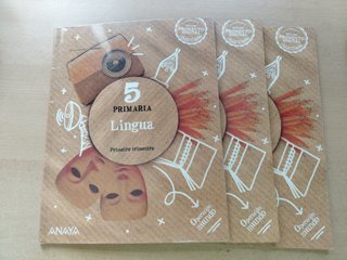 Lingua Quinto de Primaria Anaya