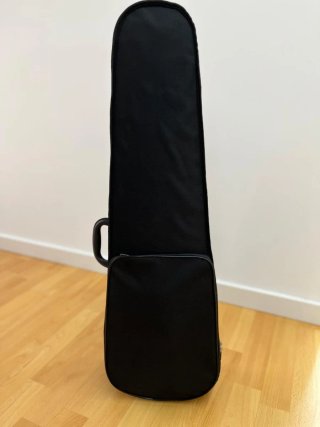 Violín 4/4 con funda