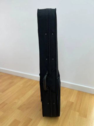 Violín 4/4 con funda