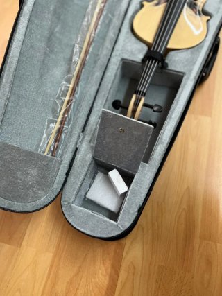 Violín 4/4 con funda