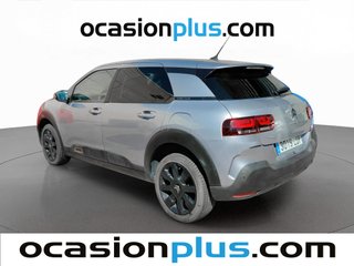 Citroen C4 Cactus BlueHDi 100 S&S Origins 75 kW (102 CV)