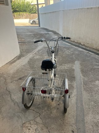 Bicicleta triciclo con cesta