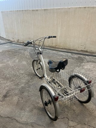 Bicicleta triciclo con cesta
