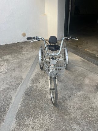 Bicicleta triciclo con cesta