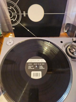 Vinilo Seema - Devils In My Head (2006)