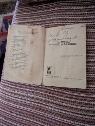 Más allá del río grande (novela)