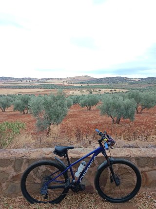 Bicicleta Orbea Azul. Talla S