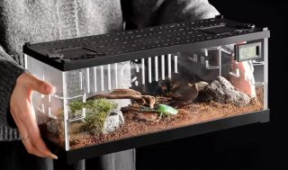 Terrario Metacrilato Transparente Negro