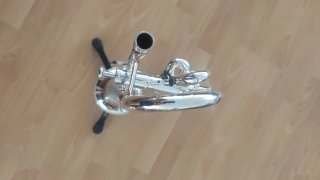 TROMPETA YAMAHA XENO 8335  Plateada