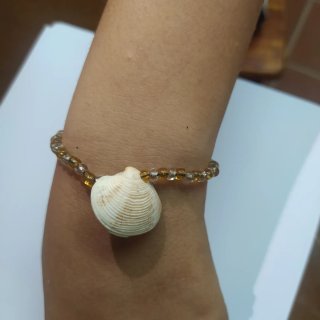 Pulsera concha y cuentas doradas elástica