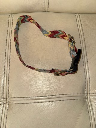 Collar para perro grande