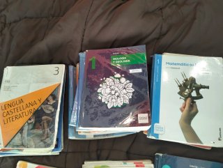 Variedad de libros de la eso y bachillerato