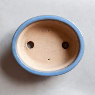 Maceta Bonsái japonesa tokoname - HOUSYU - 16cm