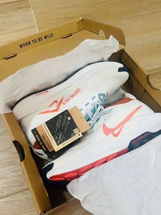 Nike Pegasus Trail 5 Gore-Tex a estrenar