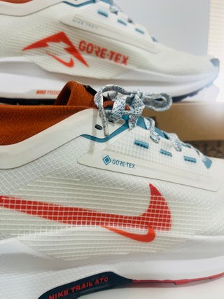 Nike Pegasus Trail 5 Gore-Tex a estrenar