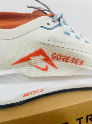 Nike Pegasus Trail 5 Gore-Tex a estrenar