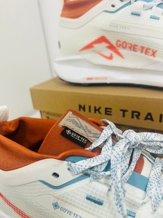 Nike Pegasus Trail 5 Gore-Tex a estrenar