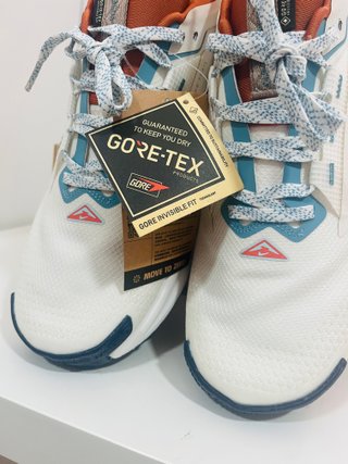Nike Pegasus Trail 5 Gore-Tex a estrenar