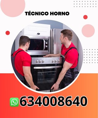 Técnico horno r96564941