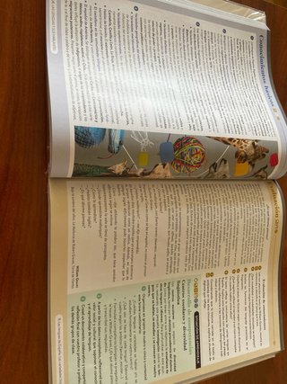 Lengua castellana y literatura II. Libro del es...