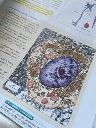 Biología y geología 3 ESO