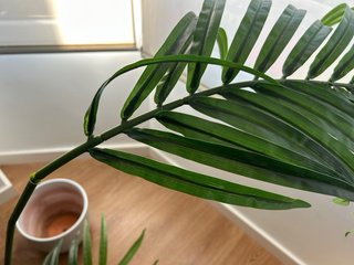 Planta artificial tipo palmera