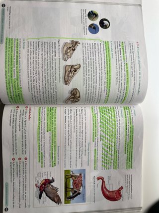 Biología, Geología y CC. Ambientales 1º Bachill...