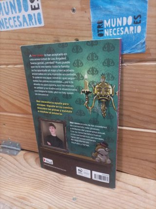 Lectura para niños de 9-10 años VIII