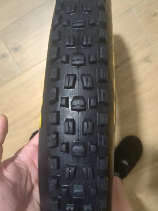 Rueda Maxxis Assegai 29 x 2.60