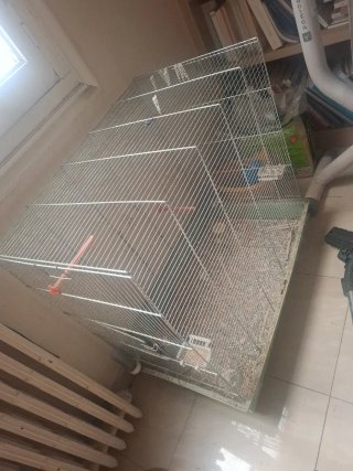 Gabbia per uccelli argentata, 80x80x60