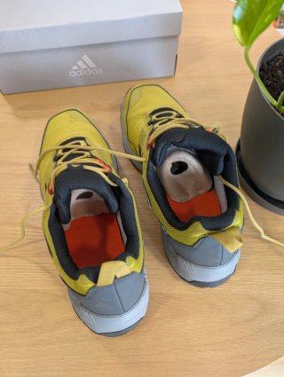 Adidas Eastrail 2. Terrex Trail. Talla 44
