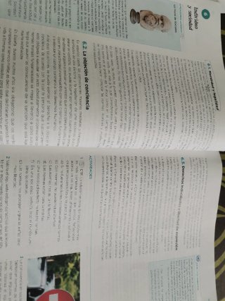 Educación en valores cívicos y éticos