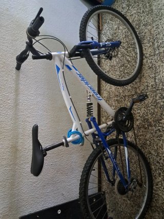 Bicicleta de montaña Freerider
