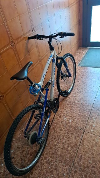 Bicicleta de montaña Freerider