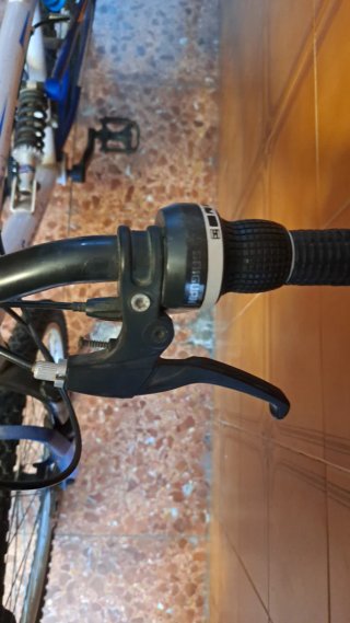Bicicleta de montaña Freerider