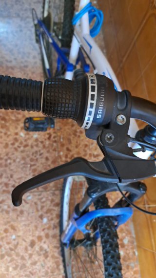 Bicicleta de montaña Freerider