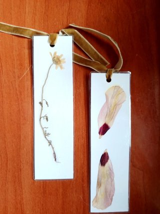 2 Marcapáginas Botánicos Flores prensadas