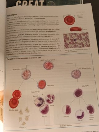 Biología 1º Bachillerato