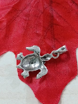 Fantástico Colgante Tortuga Galápagos Plata 925