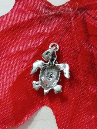 Fantástico Colgante Tortuga Galápagos Plata 925