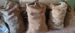 Sacos de piña y madera para caldera/chimenea